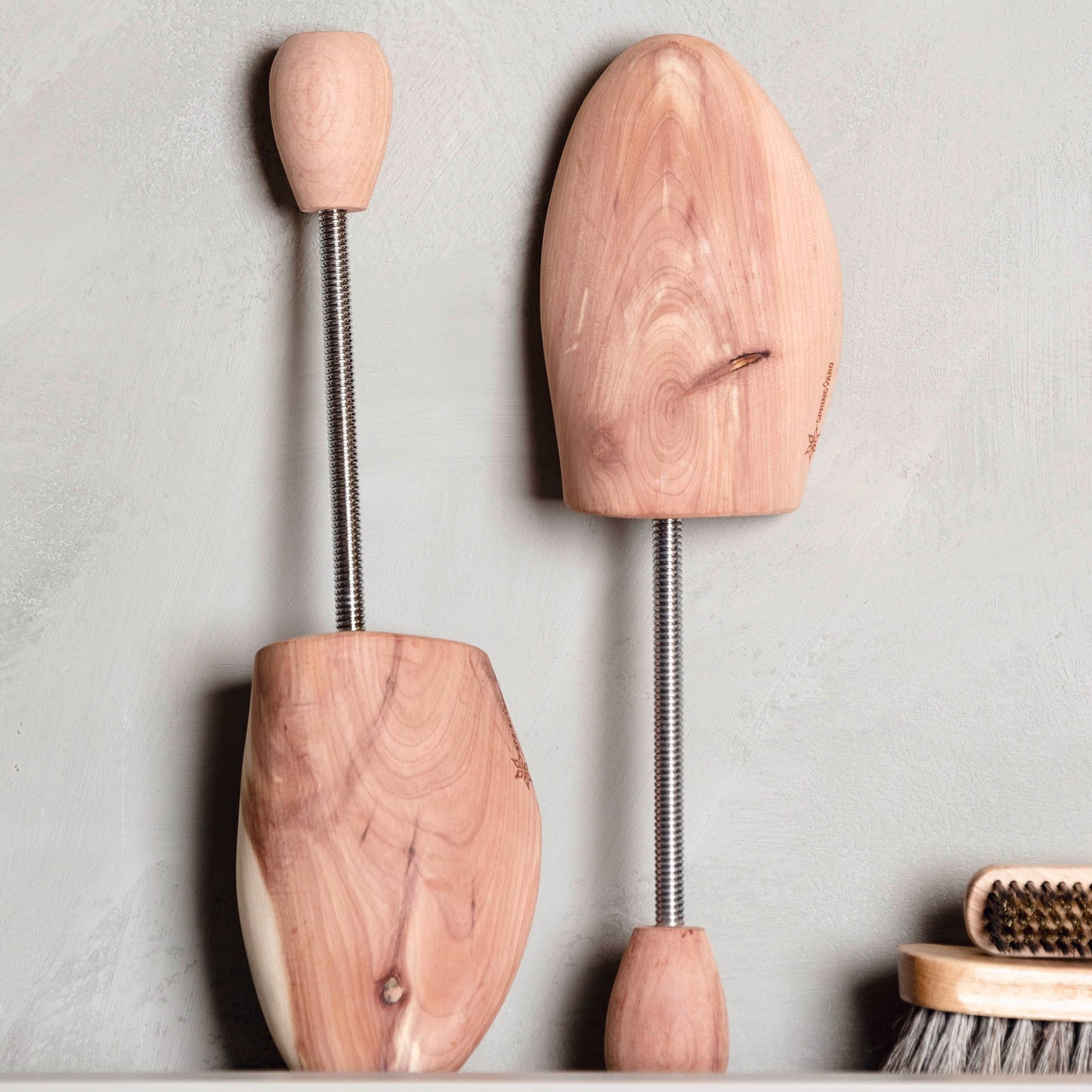 SPRINGYARD Cedar Sneaker Trees