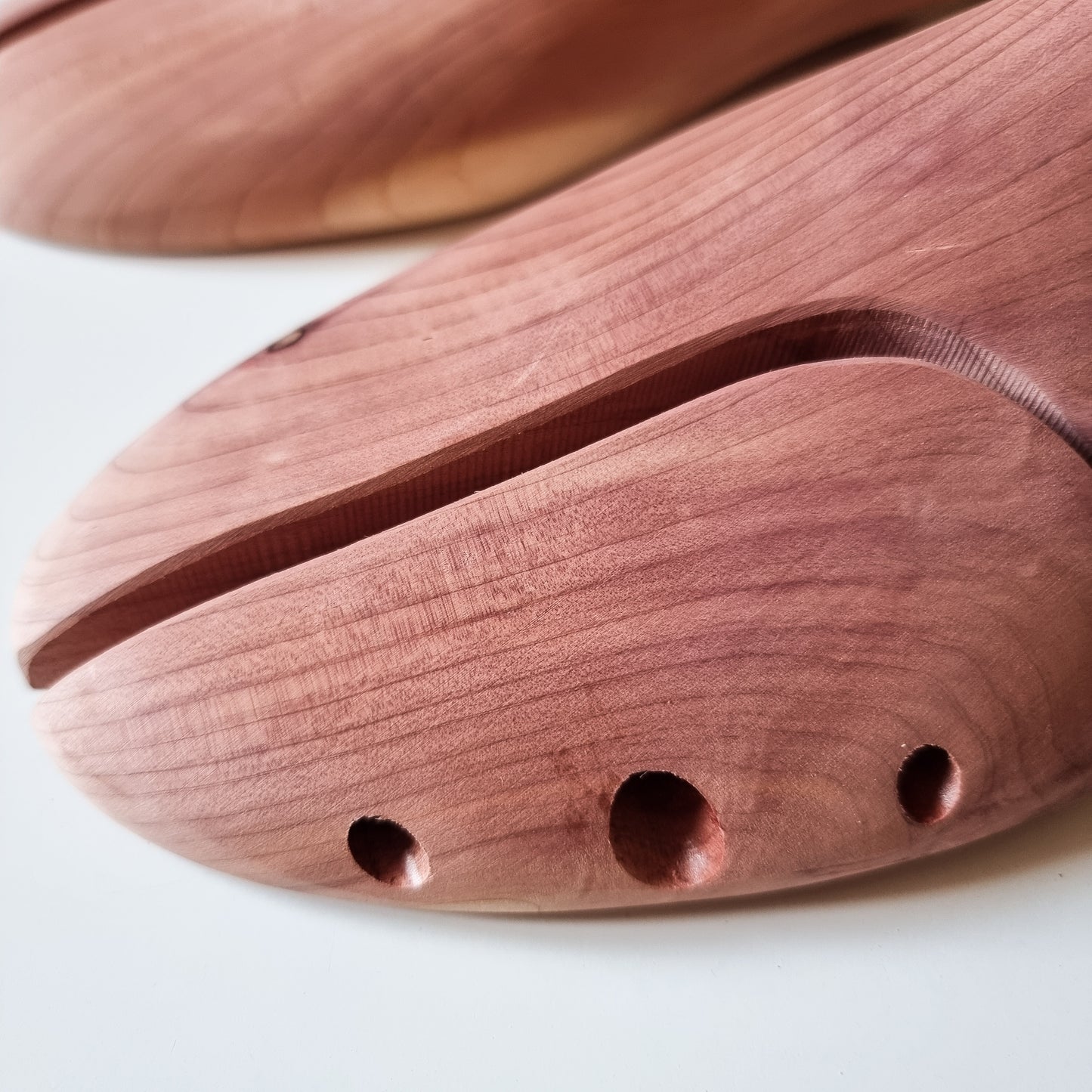 Sneaker Trees cedarwood